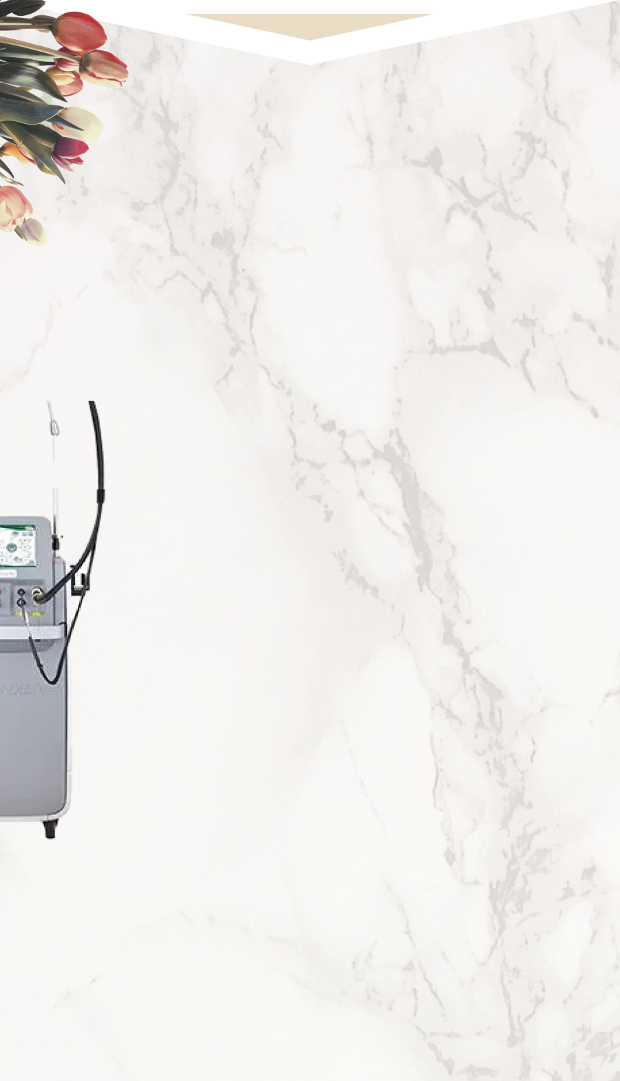 ジェントルマックスプロを全台導入しています