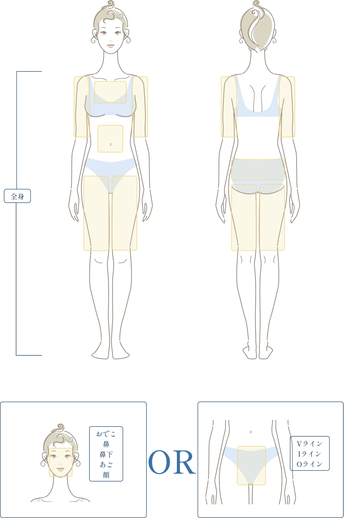 全身脱毛黄色部位+顔・VIOセット