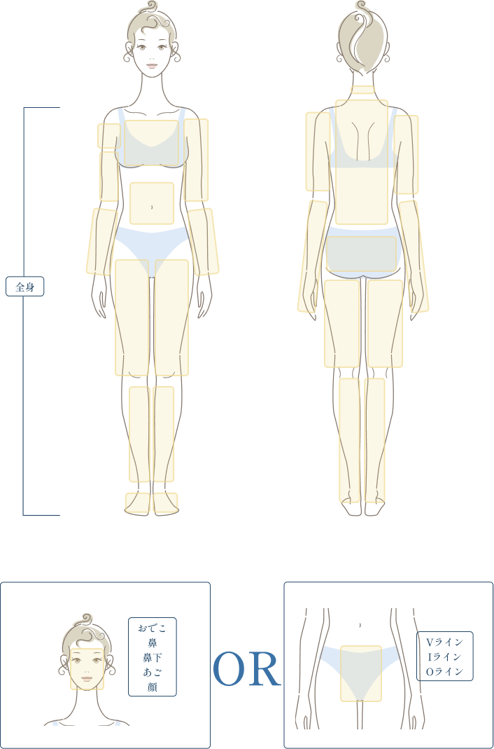 全身脱毛マルっと+顔・VIOセット