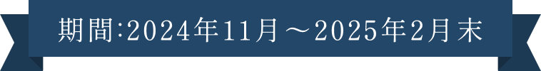 期間：2024年11月～2025年2月末