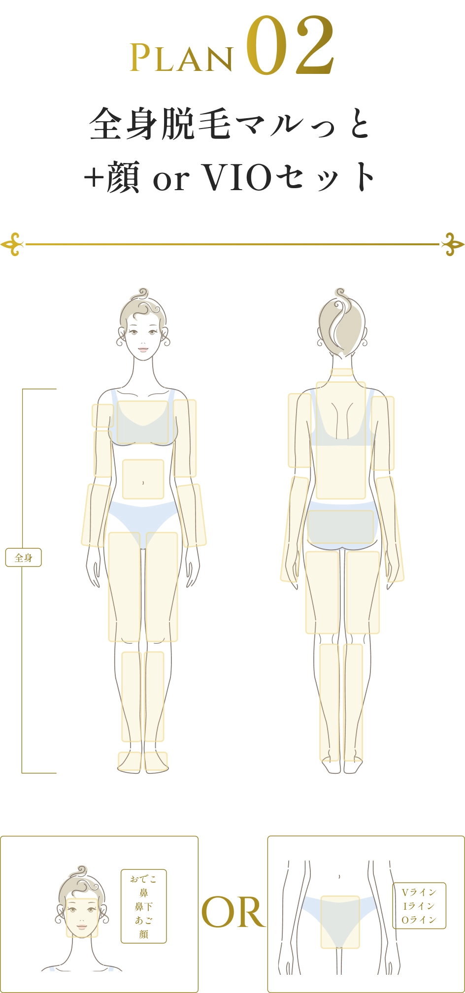 Plan02全身脱毛マルっと+顔 or VIOセット
