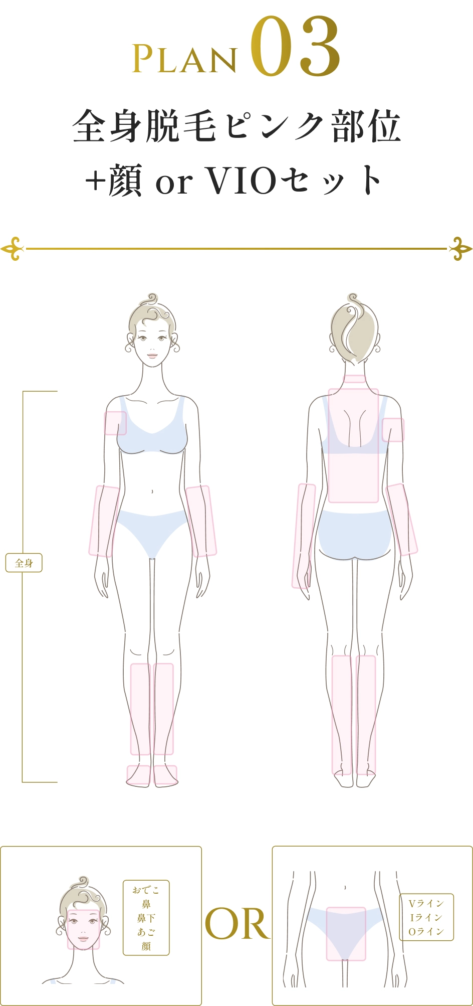 Plan03全身脱毛ピンク部位+顔 or VIOセット
