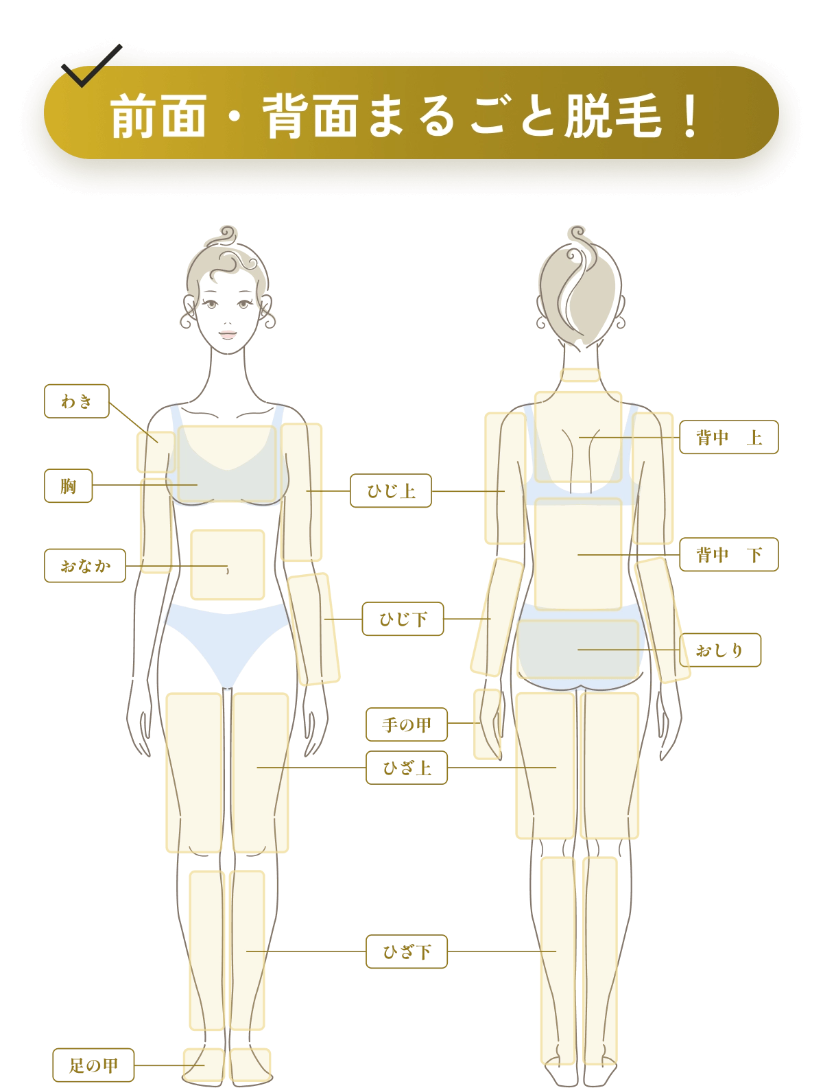 前面・背面まるごと脱毛！