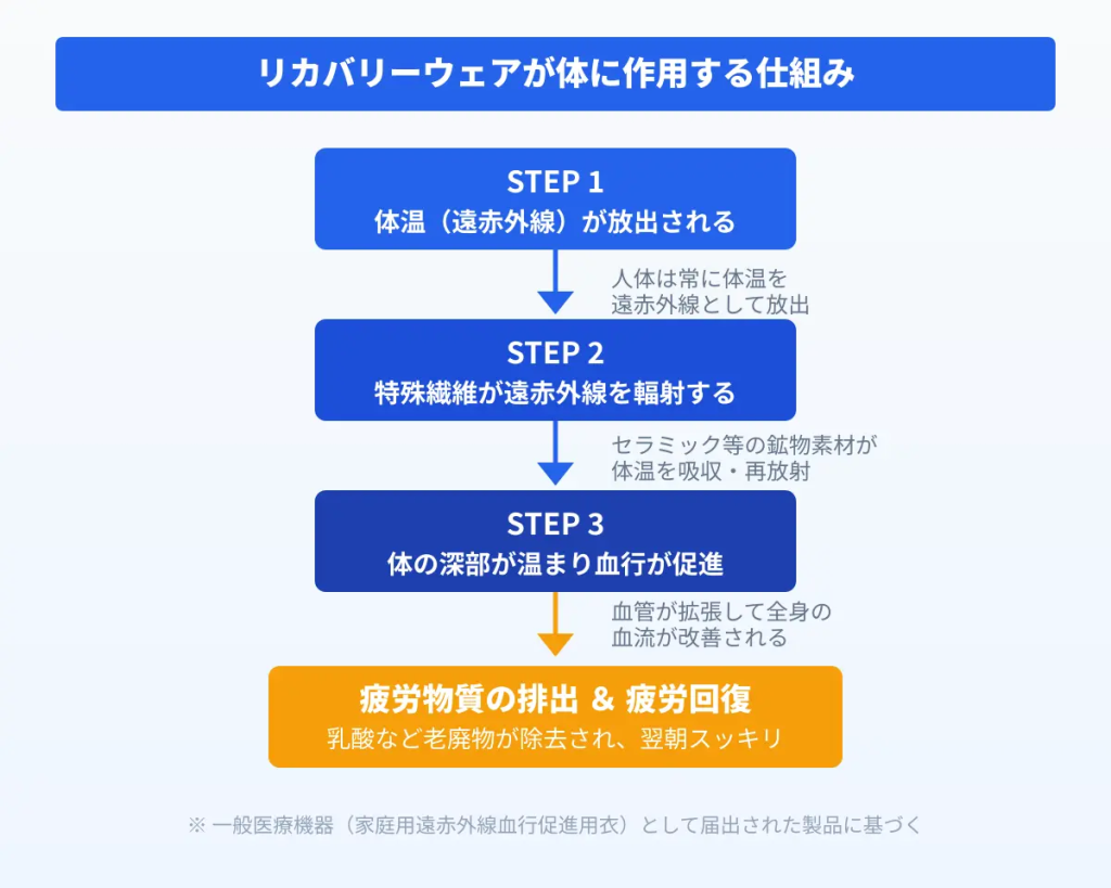 リカバリーウェアが体に作用する仕組み