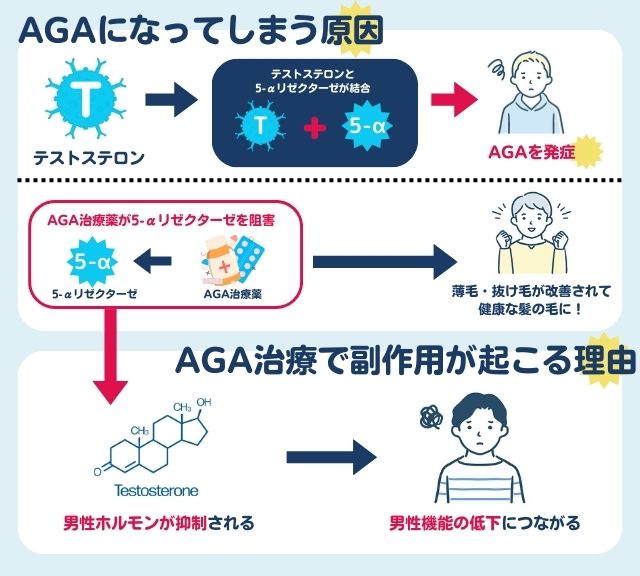 AGAになってしまう原因／AGA治療で副作用が起こる理由